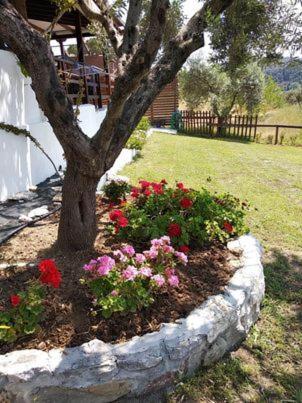Ases Villa Lagonisi Halkidiki Ormos Panagias Luaran gambar